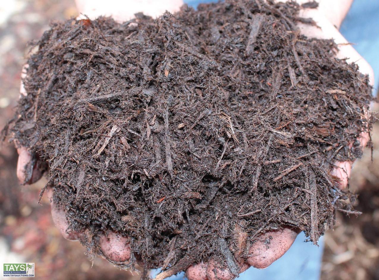 Tays Realty & Auction Auction ONLINE BENEFIT AUCTION TENNESSEE FFA