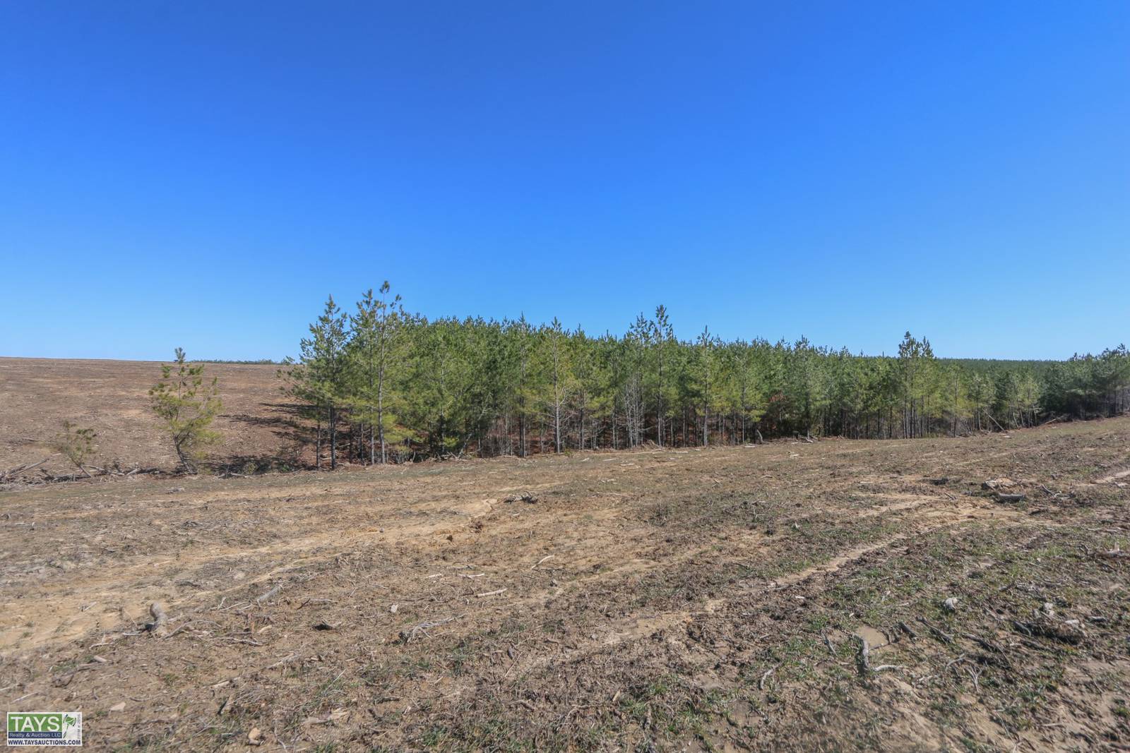 Tays Realty & Auction Auction ONLINE ABSOLUTE TIMBER AUCTION APPROX