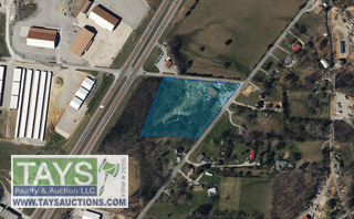 Tays Realty & Auction