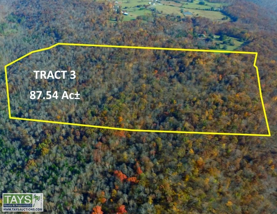 Tays Realty & Auction Auction Rockwell Hollow Road ITEM Tract 3 87.